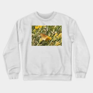 Painted Lady, Butterfly, Nature, Wildlife Crewneck Sweatshirt